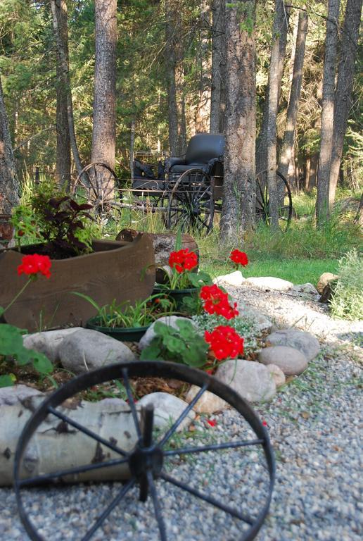 Kicking Horse Canyon Guest House Golden Εξωτερικό φωτογραφία