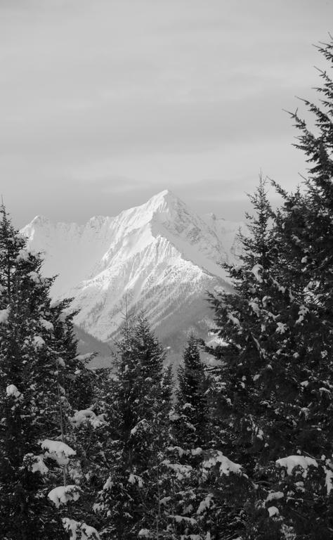 Kicking Horse Canyon Guest House Golden Εξωτερικό φωτογραφία