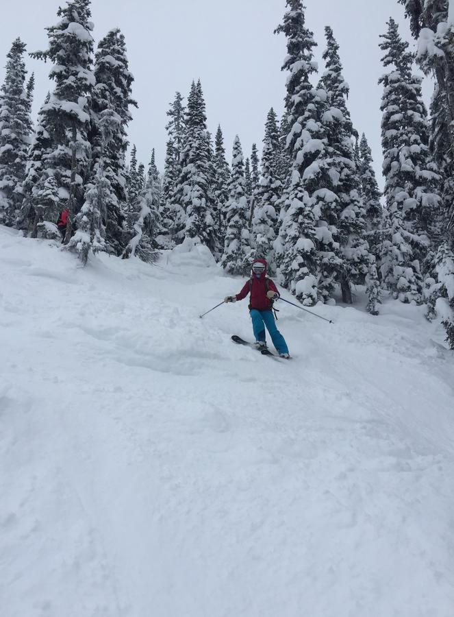 Kicking Horse Canyon Guest House Golden Εξωτερικό φωτογραφία