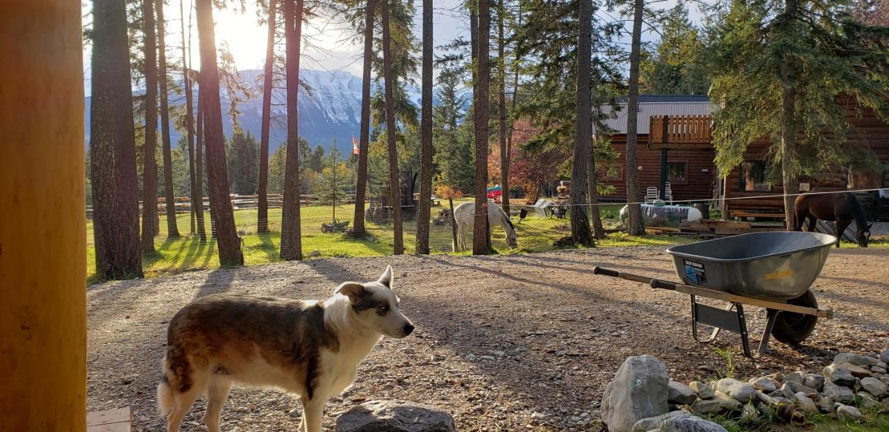 Kicking Horse Canyon Guest House Golden Εξωτερικό φωτογραφία