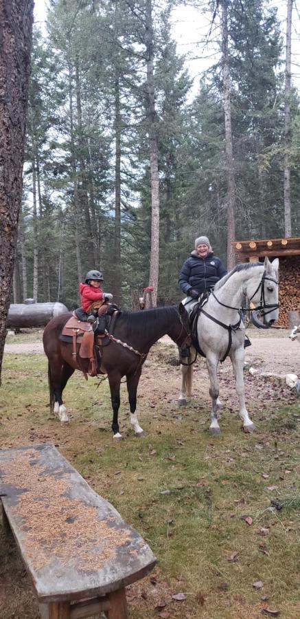 Kicking Horse Canyon Guest House Golden Εξωτερικό φωτογραφία
