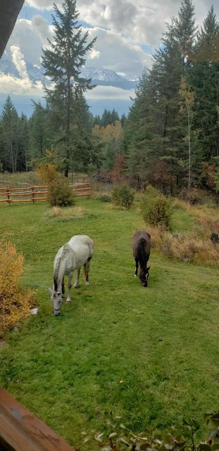 Kicking Horse Canyon Guest House Golden Εξωτερικό φωτογραφία