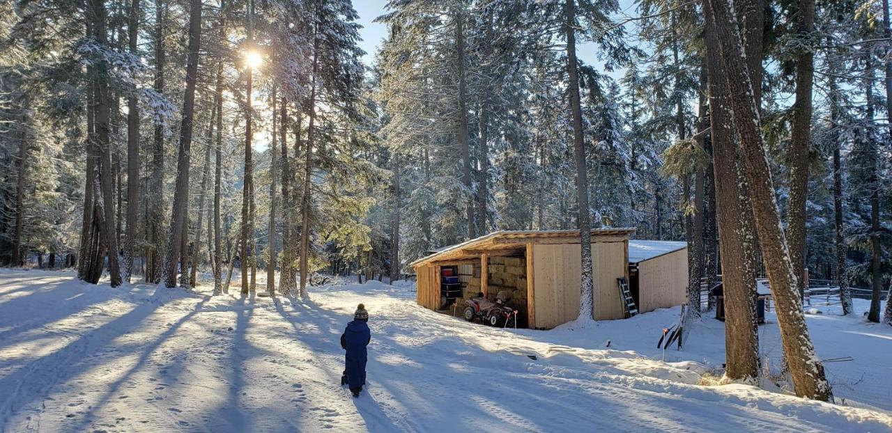 Kicking Horse Canyon Guest House Golden Εξωτερικό φωτογραφία